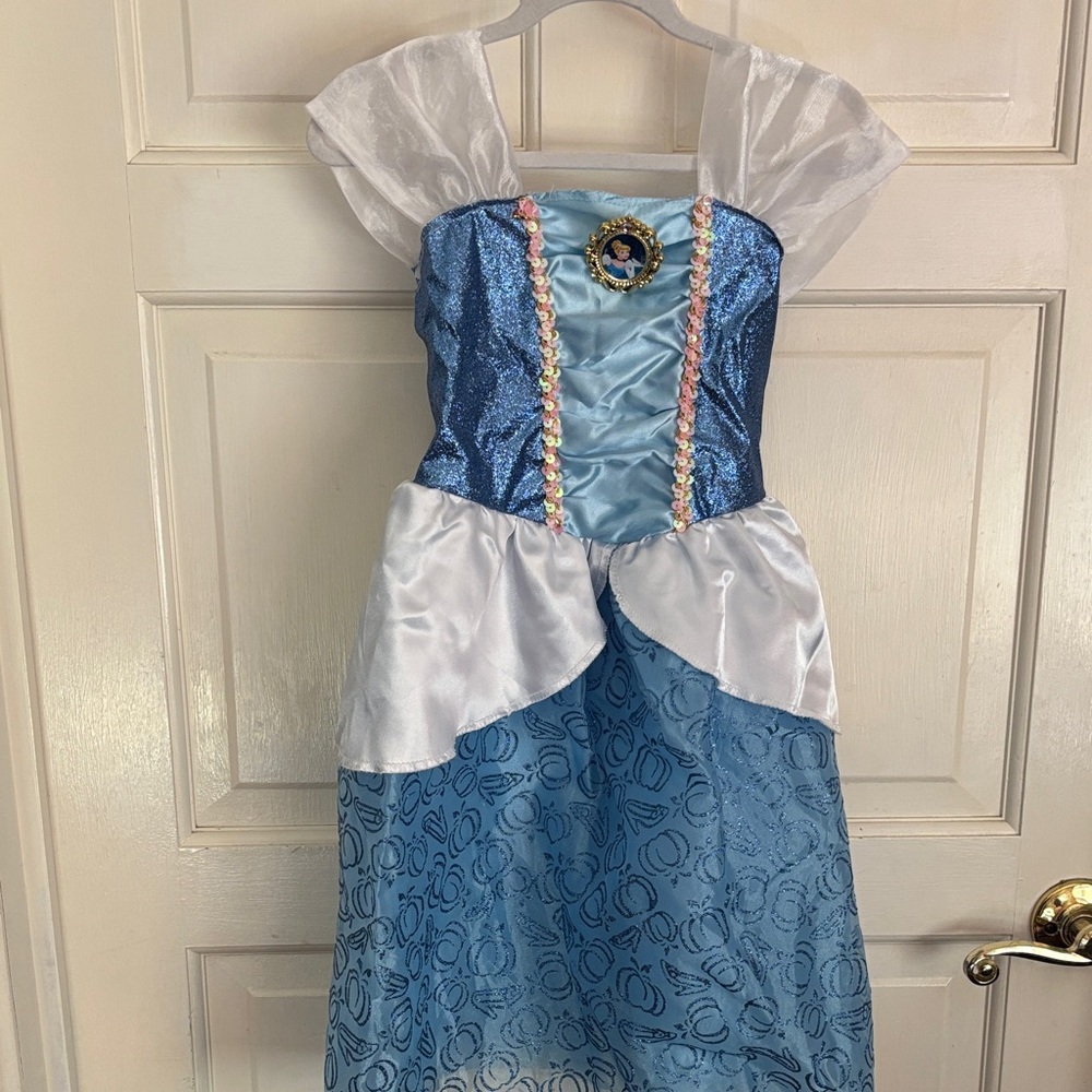 Blue and White Princess Cinderella Costume for Kids